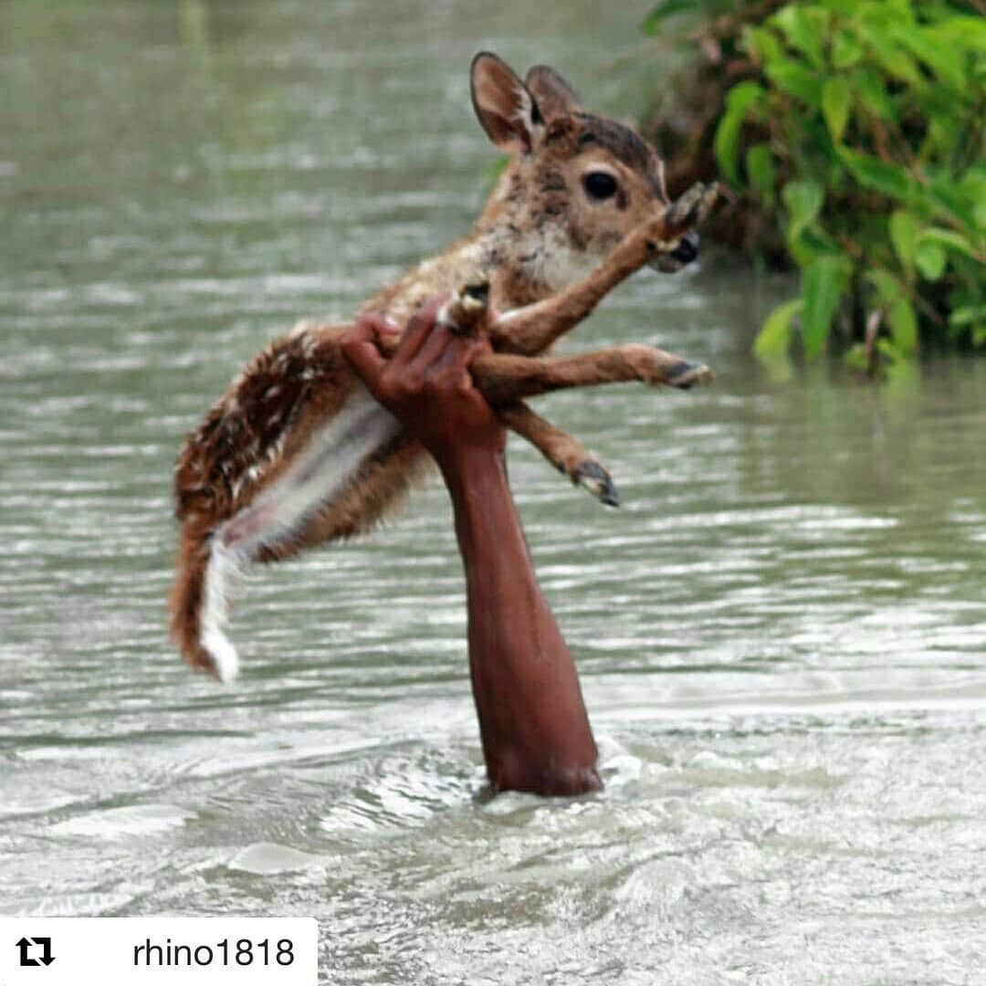 のインスタグラム：「バーフバリ！」