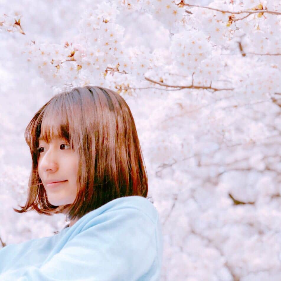 近野成美さんのインスタグラム写真 - (近野成美Instagram)「🌸お花見🌸 ぼーっとしてたら友達が写真を撮ってました^ ^  #お花見#桜#きれい #友達#写真上手 #日向ぼっこ#のんびり#良い日  #goodday #CherryBlossoms#Photo #friend #사진#친구 #벚꽃#봄#행복 #좋아날」3月29日 22時20分 - konnsaaan