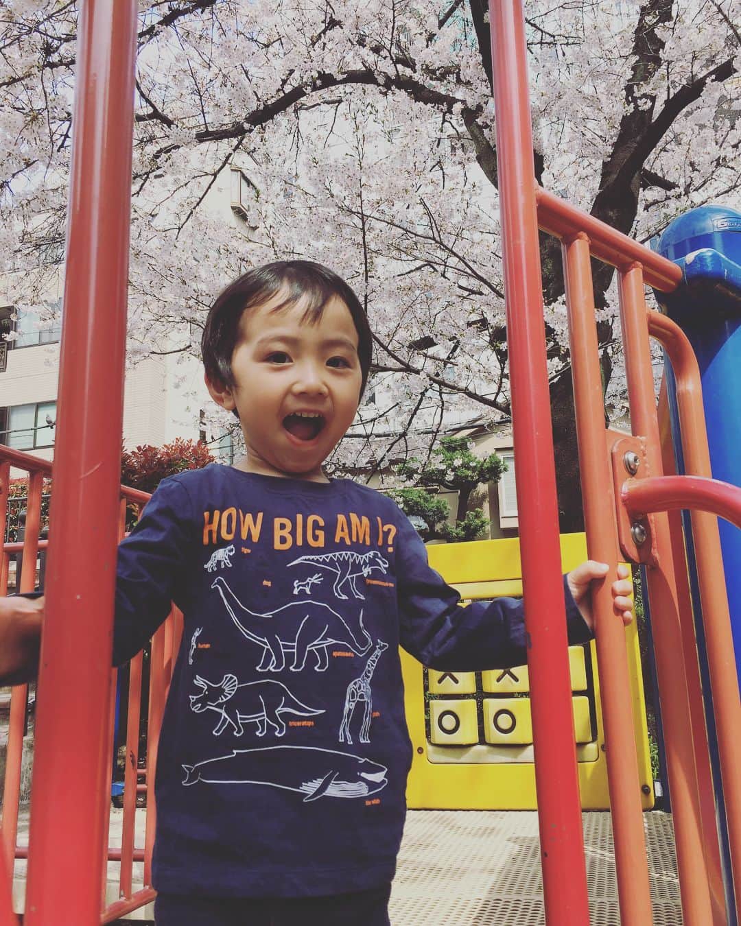 市橋有里さんのインスタグラム写真 - (市橋有里Instagram)「How big am I?  #はい、大きくなりました😊 #滑り台もひとりですべる  #もうa-zまで言えるよ #はいポーズもできるよ #もう3歳」3月30日 0時06分 - ariichihashi