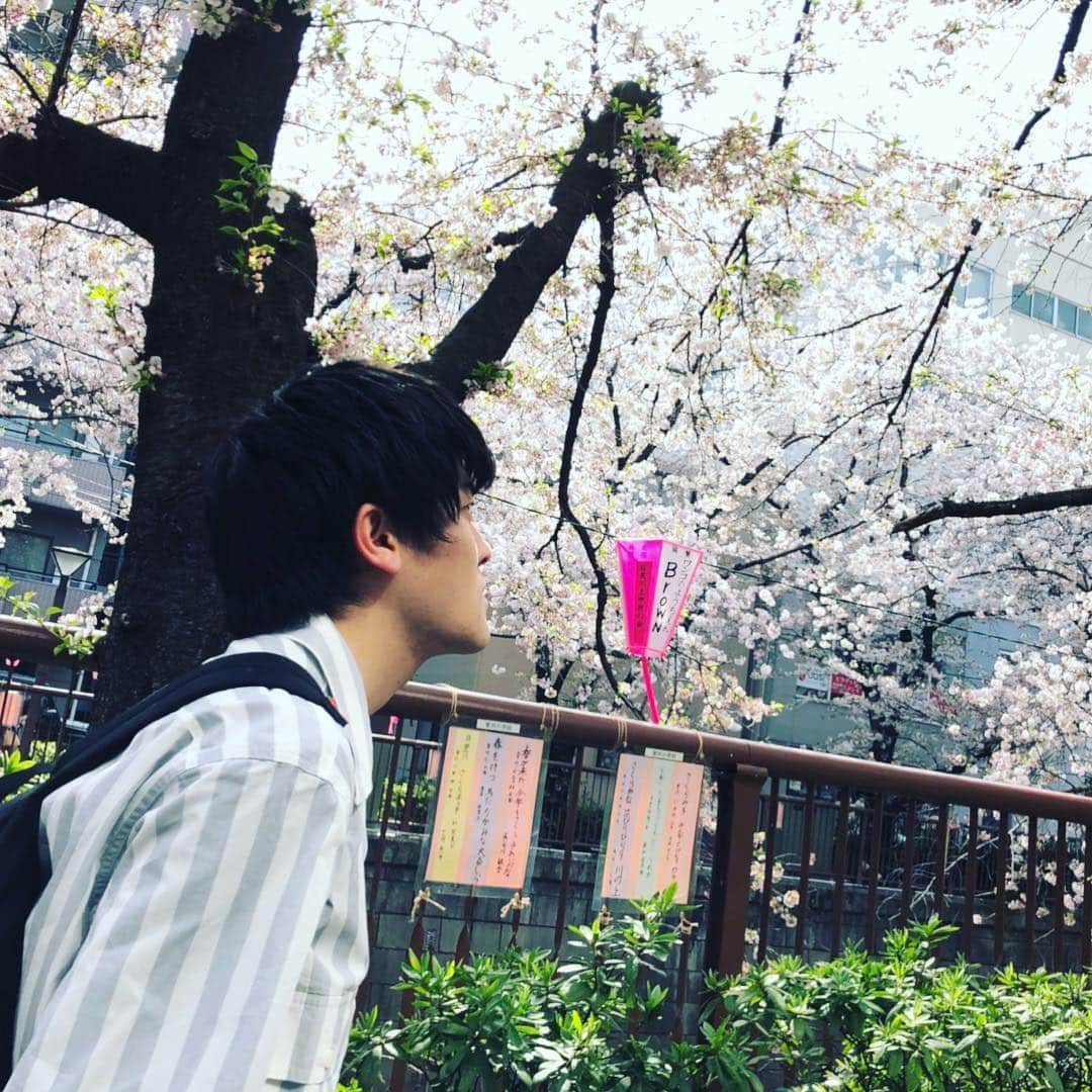 土佐有輝さんのインスタグラム写真 - (土佐有輝Instagram)「目黒川沿いの桜 🌸 WEL出演決まりました🙏  それでは4月8日 表参道GROUNDに遊びにきてくれますよね？ 来てくれないと僕は散ります❤︎ #ワタナベ #WEL #土佐兄弟 #表参道GROUND #花見 #桜 #目黒川沿い」3月30日 0時07分 - tosakyodai_otot