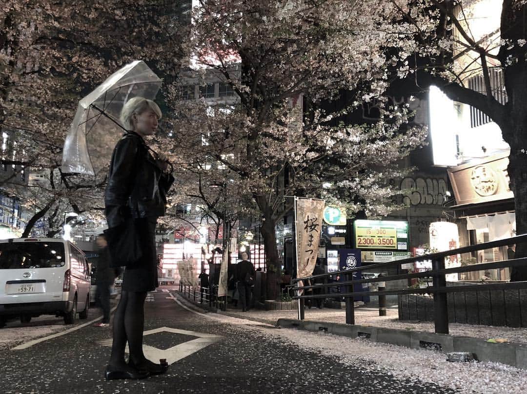 出原大樹さんのインスタグラム写真 - (出原大樹Instagram)「@asamisscream 同期。 #tokyo #sakura #cherryblossom」3月30日 0時18分 - hiroki_izuhara