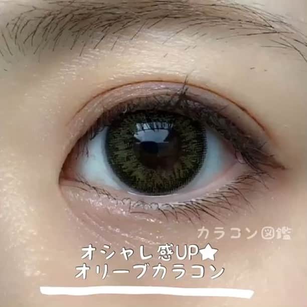 カラコン図鑑のインスタグラム：「＼#カラコンレポ #動画 👀♪／ . . ▼カラコンレポは プロフィールのリンクから読んでください⭐ 【@karaconzukan】 . . おしゃれで盛れる #オリーブ�色カラコン です＊ . このカラコンはとても可愛くてお気に入り♪ ブラウンとは一味違う、 オリーブ目になれるところが可愛いです♡ . オリーブカラコンはおしゃれに見えるので ブラウンと同じくらい好きなカラーです♪ ナチュラルなので 普段使いもしやすくて気に入っています👀❤️!! . ＊ カラコンの名前や付け心地などの詳細は TOPにあるブログ記事にUPしています✏️ ＊ 記事のURLもペタリ . http://karakon.me/repo_angelcolorvintage_1day_vo/ ＊ ＊ ▼カラコンレポ⭐ 【@karaconzukan】 . ＊ ❤︎ #カラコン #ナチュラル系　#写真映え #カラーカラコンに挑戦 #オリーブカラコン #グリーンカラコン　 #女子力 #コスメ #メイク #女子会 #女子力アップ #プチプラコーデ  #instagood #camera #follow4follow #l4l  #like4like #make #오오티디 #패션피플 #뷰티템 #좋아요」