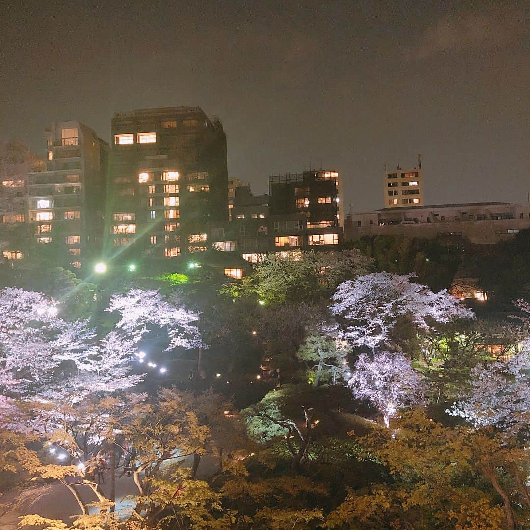 夏目愛美のグルメインスタ