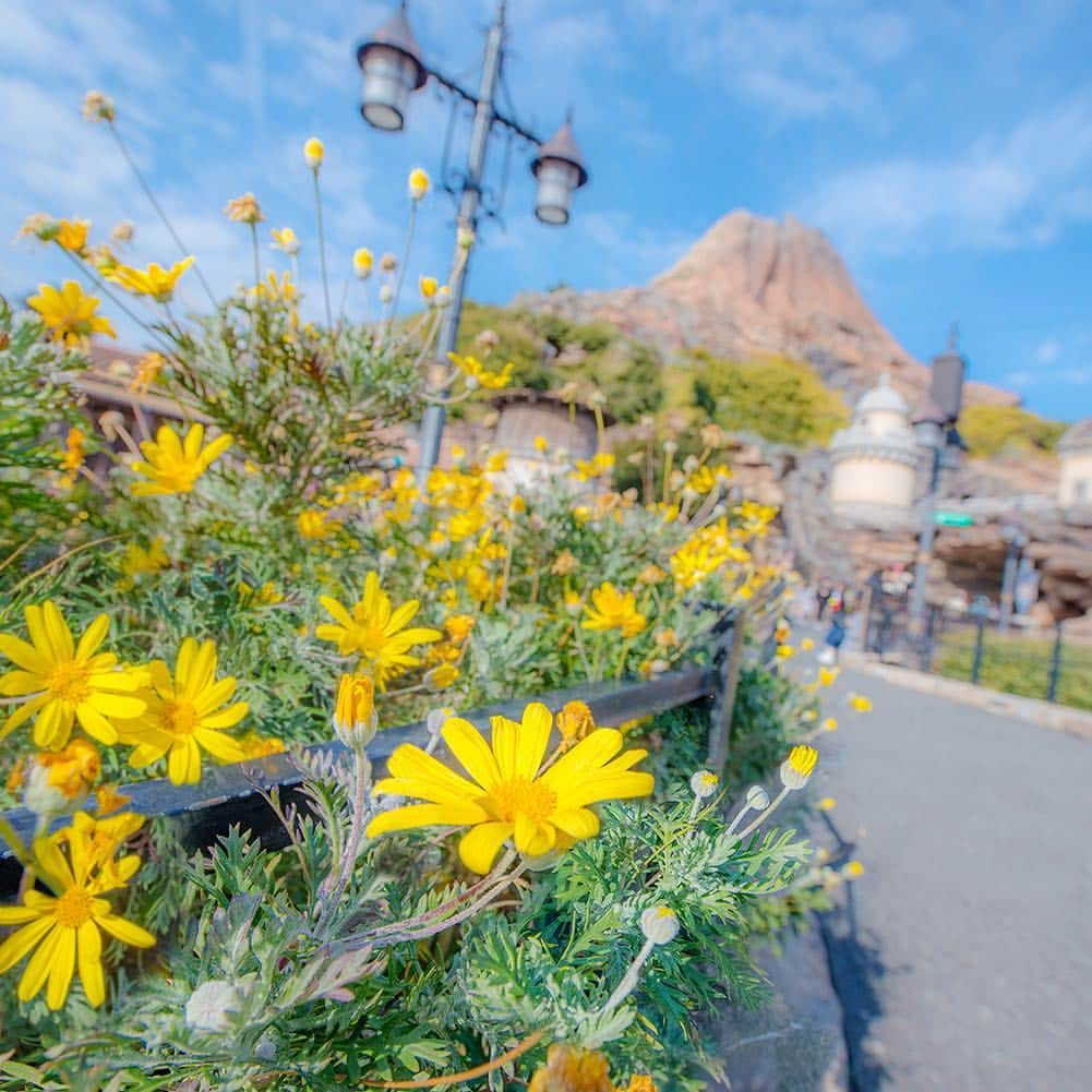 東京ディズニーリゾートのインスタグラム