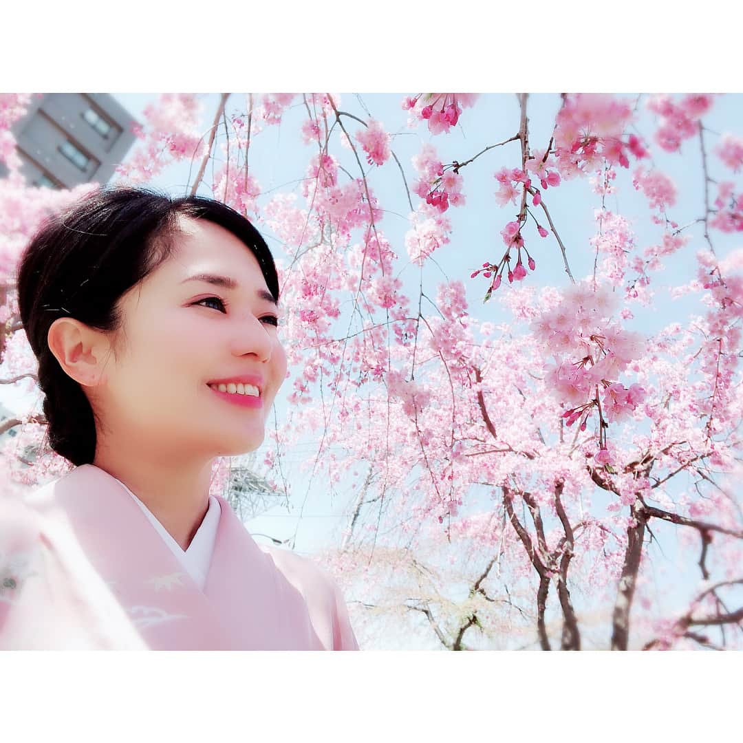 蒼井そらさんのインスタグラム写真 - (蒼井そらInstagram)「SAKURA with KIMONO ‘ #cherryblossoms #kimono #sakura #お花見 #着物 #撮影」3月30日 12時43分 - aoi_sola