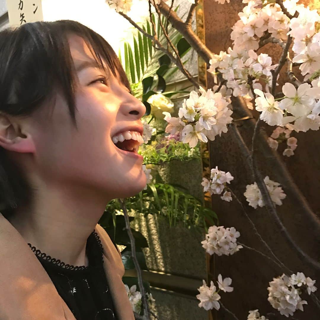向井藍さんのインスタグラム写真 - (向井藍Instagram)「桜とばっかり写真を撮っちゃう」3月30日 16時57分 - muuchan1024