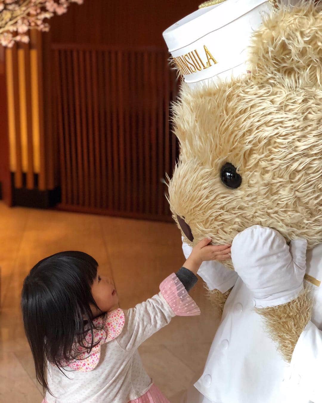 のインスタグラム：「こちらの小さなお客さまが、ホテルのロビーでPeterベアにはじめて出逢った瞬間です！👧🐻✨週末、こちらのザ・ペニンシュラ東京のアンバサダーPeterベアがロビーに登場いたします。どうぞ、お楽しみに！ #ペニンシュラ東京 #小さなお客様 #初めての体験 #peninsulatokyolovessakura #ホテル ⠀ That moment when your little ones meet Peter Bear for the first time. 👧🐻✨Catch our lovable mascot all this weekend at our sakura-filled Lobby.⠀ #thepeninsulatokyo #littleguest #weekend #peninsulatokyolovessakura #sakura #cherryblossom #hotel」
