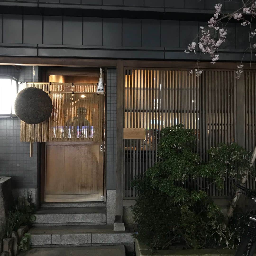 小谷あゆみのインスタグラム：「湯島の名店 #シンスケ 行ってきたー！ Evvonenさんの東京大学大学院ご卒業のお祝いも兼ねて、IGES 理事長で #世界農業遺産 #GIAHS 専門家会議委員長の武内和彦先生と NHK 里山資本主義や、日本の食関係者を震撼させたあの衝撃の「世界牛肉争奪戦」のエグゼクティブプロデューサー井上恭介さんと！ 国内世界トップレベルのすごい知識と情報のかたまりみたいな先生方に混ぜていただき恐縮からの〜カンパイ！記念写真！ からの〜上野の花見で西郷さんこんばんは 100%満開の夜桜ありがとうこざいましたー🌸」