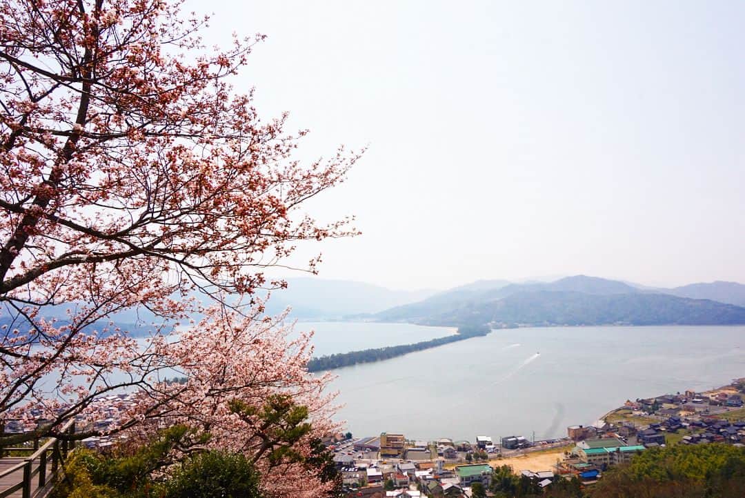 林香里さんのインスタグラム写真 - (林香里Instagram)「・ ・ 卒園旅行最後の目玉は日本三景にも 選ばれている天橋立へ… ケーブルカー🚠に乗って 上から見る景色も、ちょうど桜が 満開で絶景でした🌸  仲良しのお友達親子との 1泊2日の旅は、なにをするのも 楽しそうな息子の顔を見てると みんなと出会えて良かったって つくづく思える..... そんな仲間に囲まれて感謝だな♡  #trip#shorttrip#bestie #sakura#cherryblossom」3月30日 21時39分 - kaori_hayashi1203