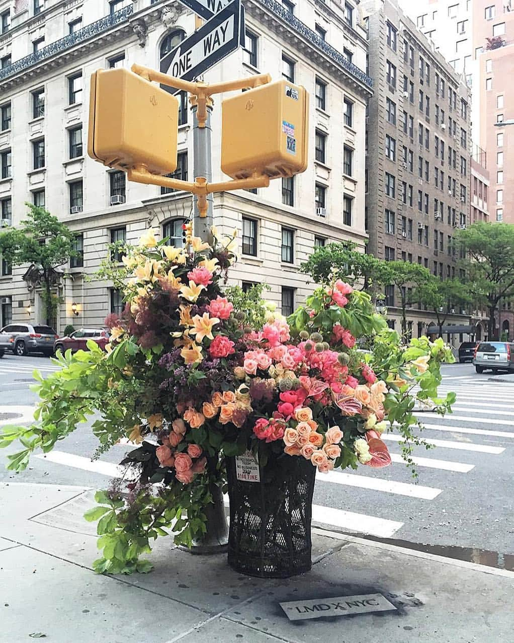 セオドラ&カラムのインスタグラム：「Friday in bloom 💐 Floral inspiration via @lewismillerdesign」