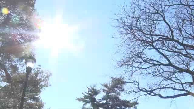 テレビ東京「Newsモーニングサテライト」のインスタグラム：「NYのブロンクスにあるニューヨーク植物園(New York Botanical Garden)です。ランがきれいでした。３月６日(火)撮影  #モーサテ #きょうのNY  #newyork  #bronx  #newyorkbotanicalgarden」