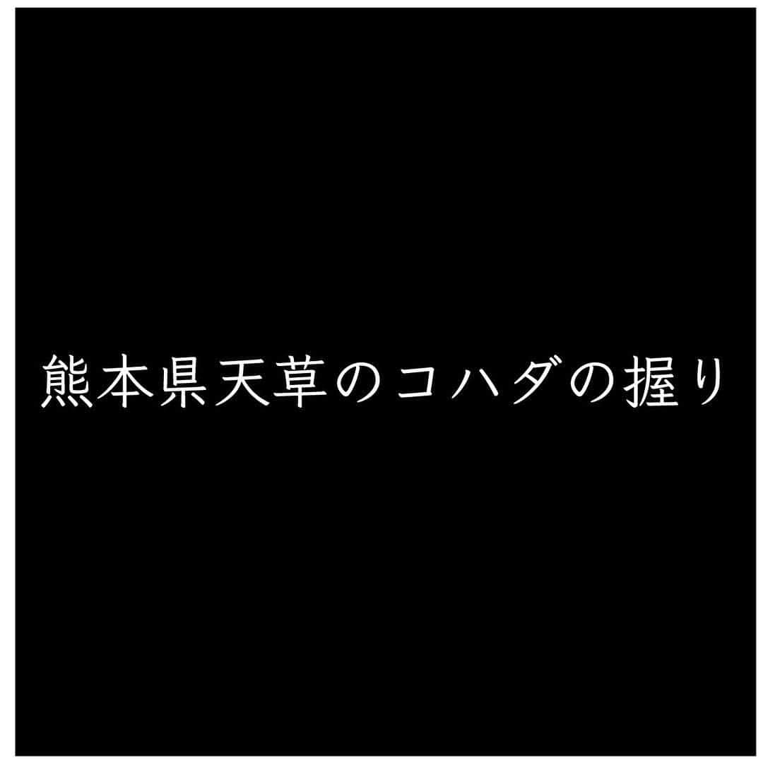 鮨 Shizukuのインスタグラム