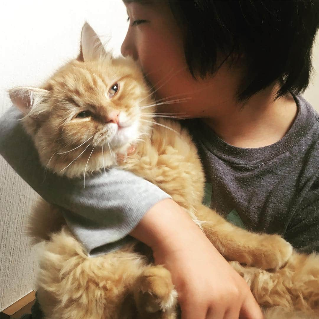 ばばかよのインスタグラム：「My son is in close contact with our cat wants. #cat #close #with #猫 #密着 #ねこかわいがり #daily」