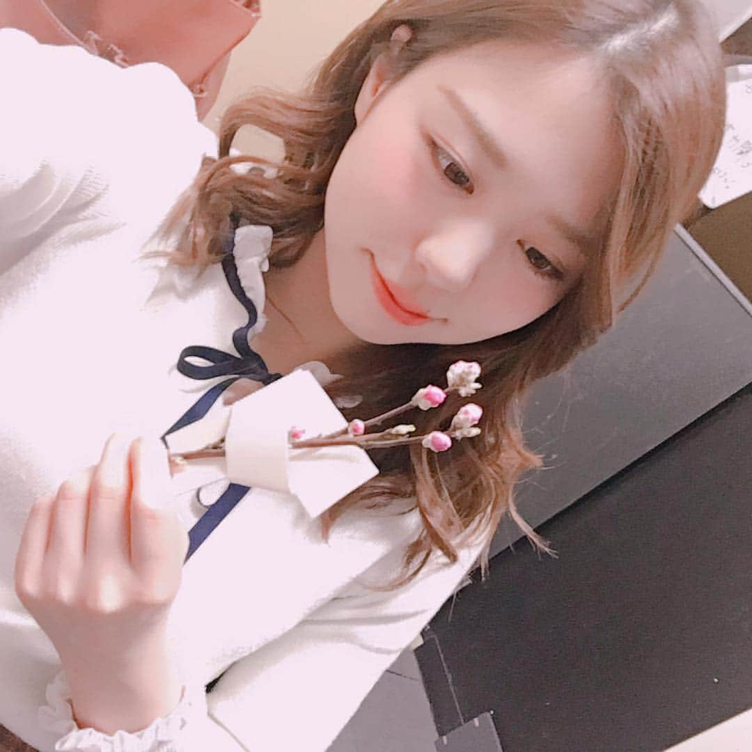 青木千春のインスタグラム：「- - - - - - - - -▷◁.｡ ＊ ＊ ＊ １番すきな春〜🌸 ＊ ＊ ＊ #春 #桜 #spring  #cherryblossom - - - - - - - - -▷◁.｡」