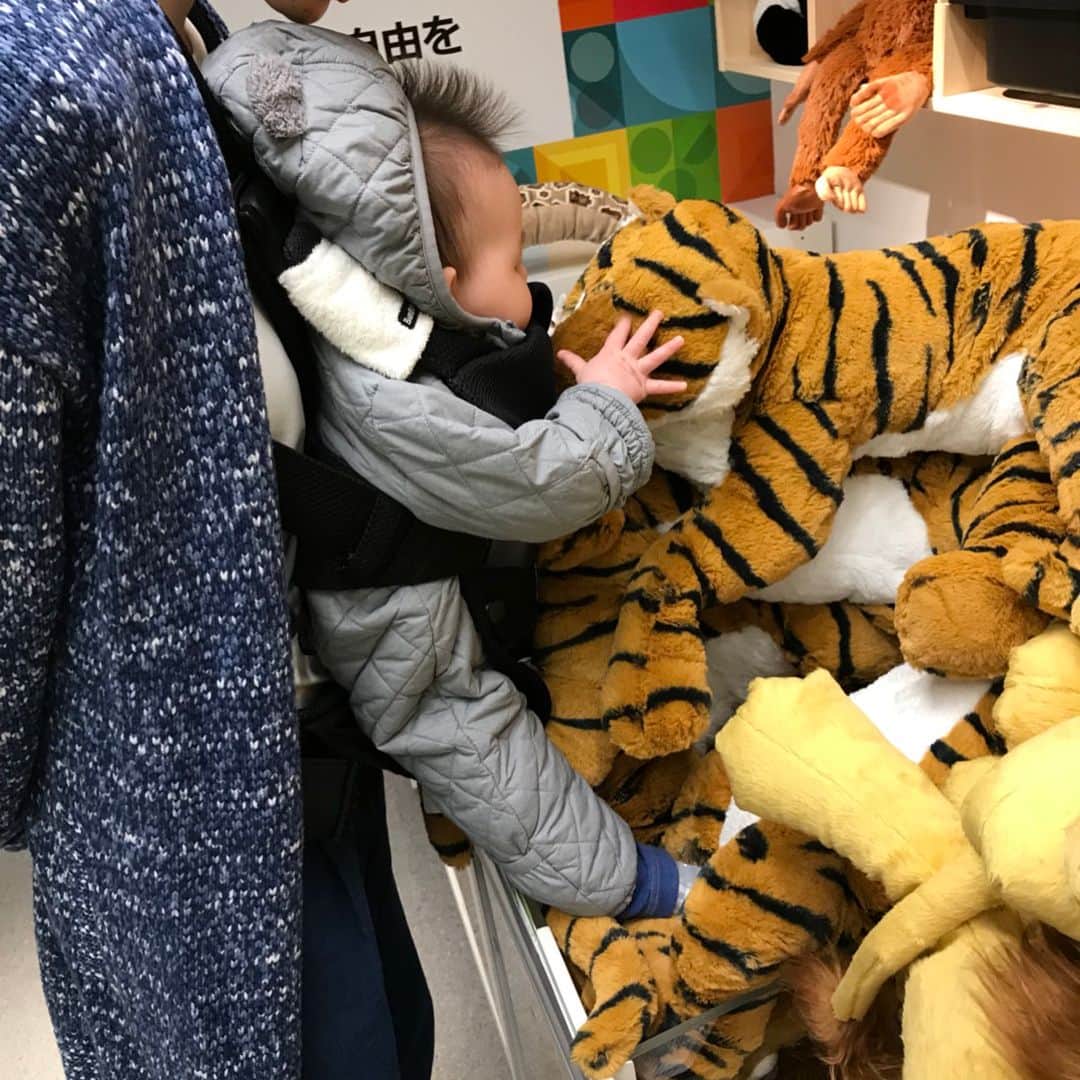 シンジケート 摘む 廃止する Ikea オーツ 麦 チョコレート ビスケット ホラー 矛盾 不和