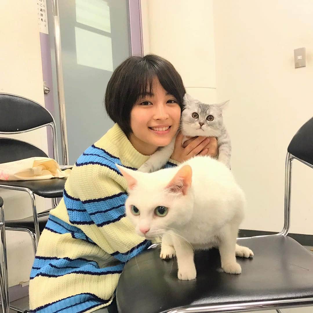 日本テレビ「anone」のインスタグラム：「ついに実現‼️すず×あの×あなご🐈猫好き、すず好きにはたまらない夢のコラボです😂 #anone #あのね #日テレ #水ドラ #広瀬すず #あのちゃん #あなご #猫スタグラム #あのちゃん取材でスタジオ来た時 #撮影で来てたあなごとバッタリ #これは撮るしかないと確信 #先輩あなごにビビるあの #やばすぎてやばい #かわいすぎてかわいい」