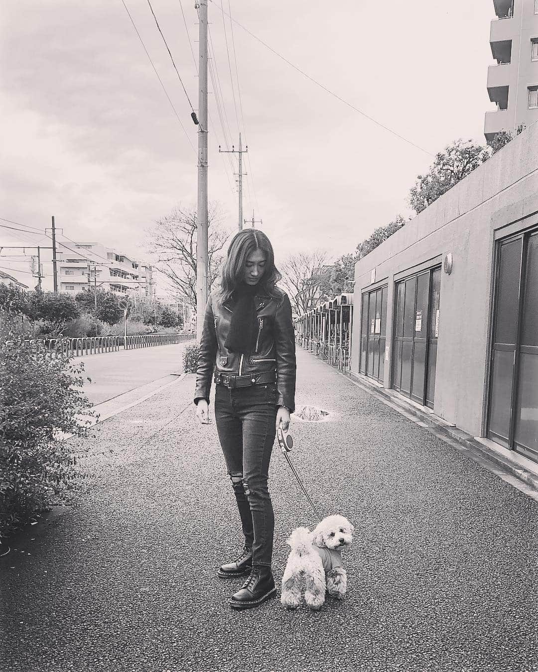白雪のインスタグラム：「🐾🐶🌸 #chianti #mylove #散歩」