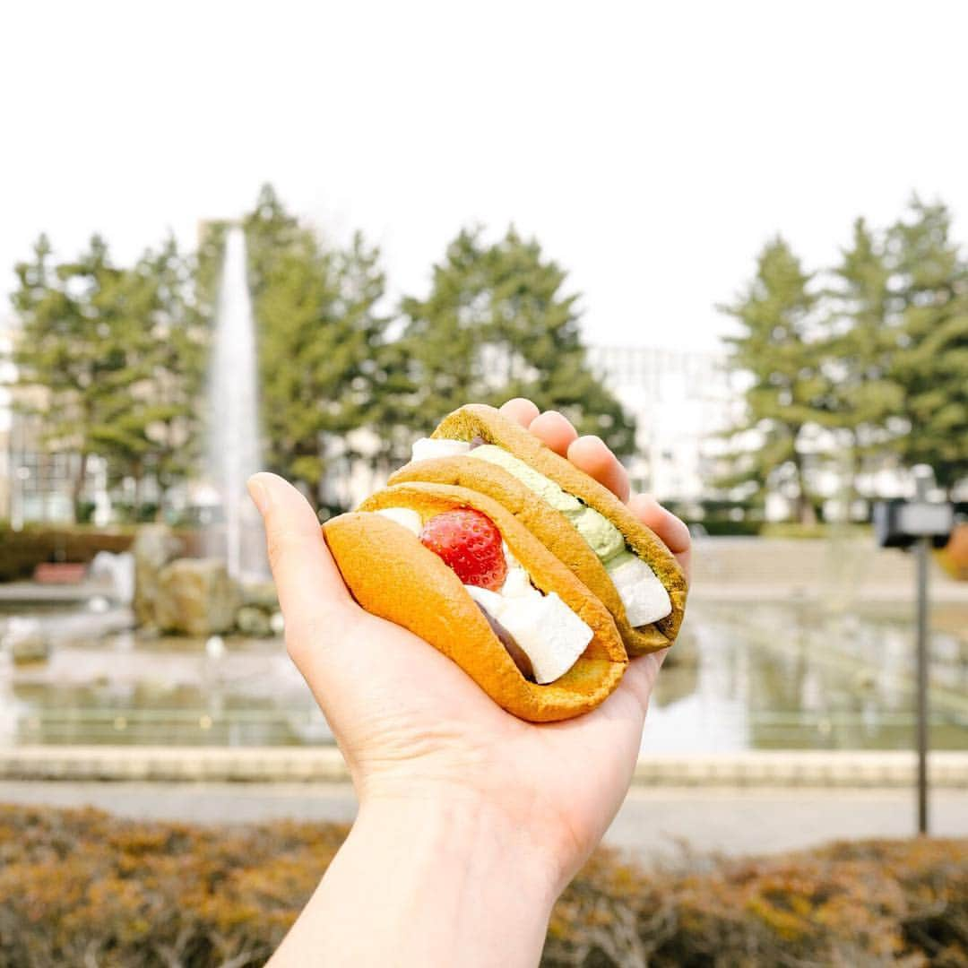 DOUのインスタグラム：「ㅤㅤㅤㅤㅤㅤㅤㅤㅤㅤㅤㅤㅤㅤㅤㅤㅤㅤㅤㅤㅤㅤㅤㅤㅤㅤ ㅤㅤㅤㅤㅤㅤㅤㅤㅤㅤㅤㅤㅤ いちごと抹茶、どっちかなんて選べない。 ㅤㅤㅤㅤㅤㅤㅤㅤㅤㅤㅤㅤㅤ #dou#namadorayaki#dorayaki #sweets#japanesesweets  #生どら焼き#生どら焼きミニ ㅤㅤㅤㅤㅤㅤㅤㅤㅤㅤㅤㅤㅤ」