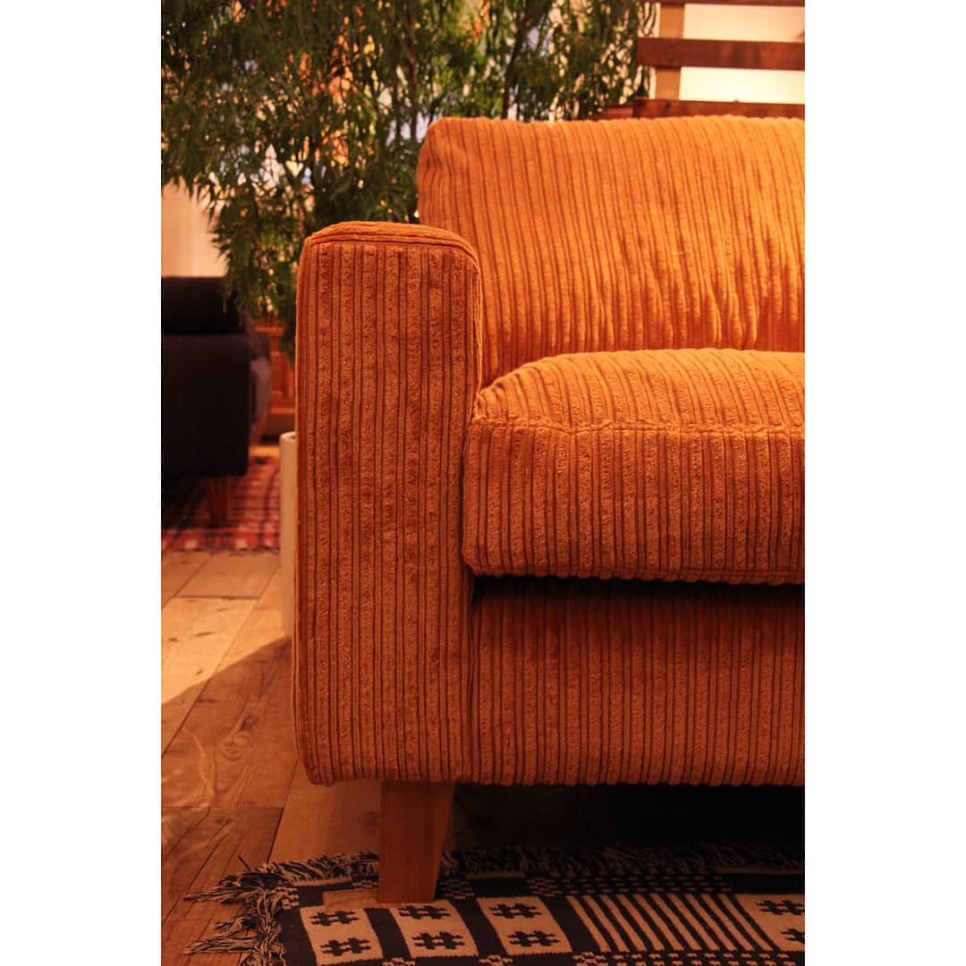 ACME Furnitureさんのインスタグラム写真 - (ACME FurnitureInstagram)「. JETTY feather SOFA 3 Seater Fabric:AC-07 Corduroy price:￥281,000(+Tax) . Contact:ACME Furniture meguro st. TEL 03-5720-1071 . #acme #acmefurniture #furniture #acmemeguro #originalproducts #sofa #jettyfeathersofa #california #megurostreet #interiorstreet」3月9日 19時34分 - acme_furniture