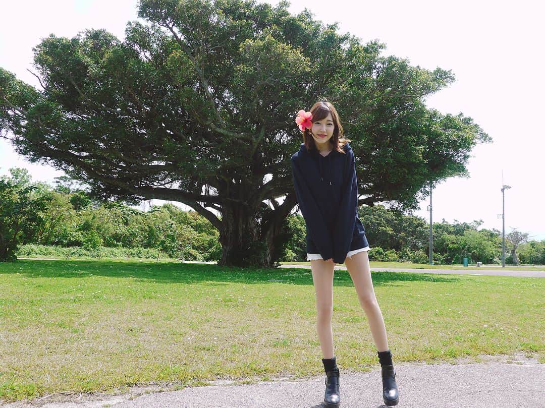 のインスタグラム：「. #沖縄 の旅3日目🌴 #がじゅまるの木 とともに❣️ そこから #斎場御嶽 に行ったよ🌺 #パワースポット らしいけん、 パワーもらえたかな… . #tops 👉🏻#uniqlou #pants 👉🏻#bershka  #shoes 👉🏻#zara . #那覇#旅行#ハイビスカス#撮影#ポートレート #ポートレートモデル #ファインダー越しのわたしの世界#サロン撮影#サロンモデル #サロンモデル東京#サロモ #サロンモデル受付中#井川紫音#portrait#portraitmodel#portraitshoot#salon#salonmodel#salonmodeltokyo#okinawa#naha」