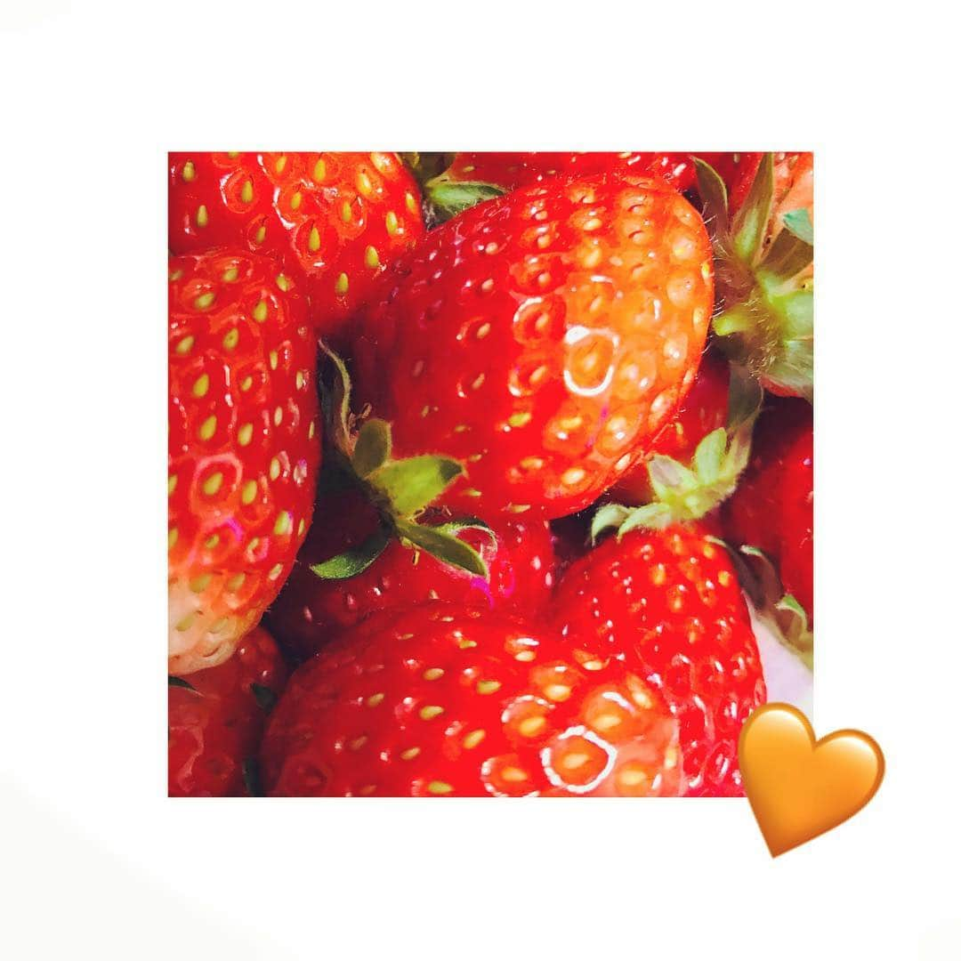 西本歩未さんのインスタグラム写真 - (西本歩未Instagram)「#朝ごはん に #いちご #食べました #🍓 #🍓🍓 #🍓🍓🍓」3月10日 7時29分 - aminishimoto1204