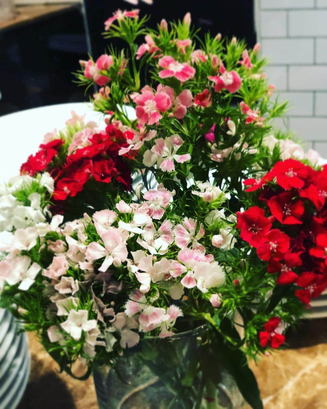 笛木優子のインスタグラム：「みなさんこんばんは🌇  明日です。  クチコミ新発見！旅ぷら」 【日時】3月11日(日)10：55～ 【放送】讀賣テレビ  広島を旅しました📺  良かったら見て下さい🤩」
