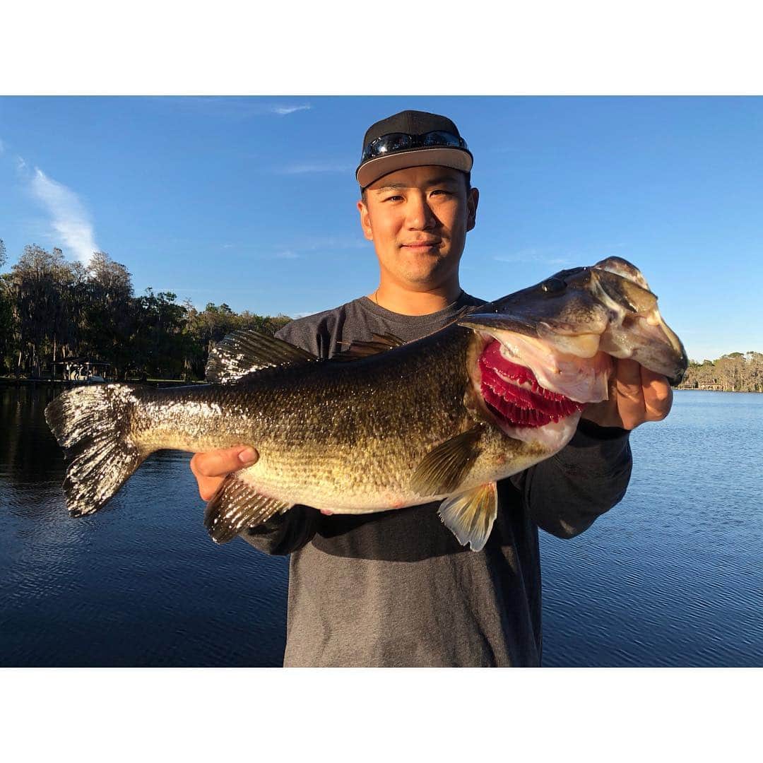 田中将大さんのインスタグラム写真 - (田中将大Instagram)「最近長さ、重さ共に自己新記録となる59.5㎝・2740ｇのバスを釣り上げました🎣✨😎 60㎝には惜しくも届かず…。 #bassfishing #tampa #florida」3月10日 11時54分 - masahiro_tanaka.official