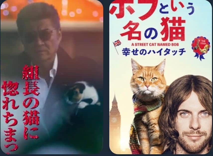 山口祥行さんのインスタグラム写真 - (山口祥行Instagram)「‪猫は猫🐈でも、スッゲーギャップが😲‬ ‪#小沢仁志‬ ‪#30_サーティー‬」3月10日 15時07分 - yamariguez