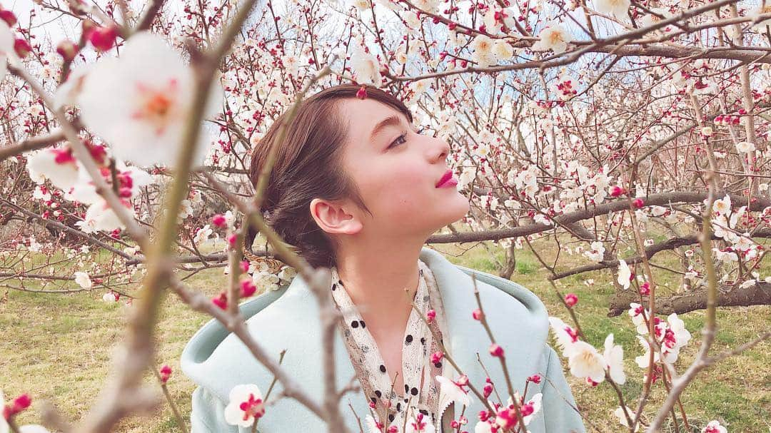 平祐奈さんのインスタグラム写真 - (平祐奈Instagram)「22:54〜23:00 「和び旅」 今夜は「梅干し」です🌸ぜひみてね。 #小田原 #和び旅 #梅園」3月10日 15時27分 - yunataira_official