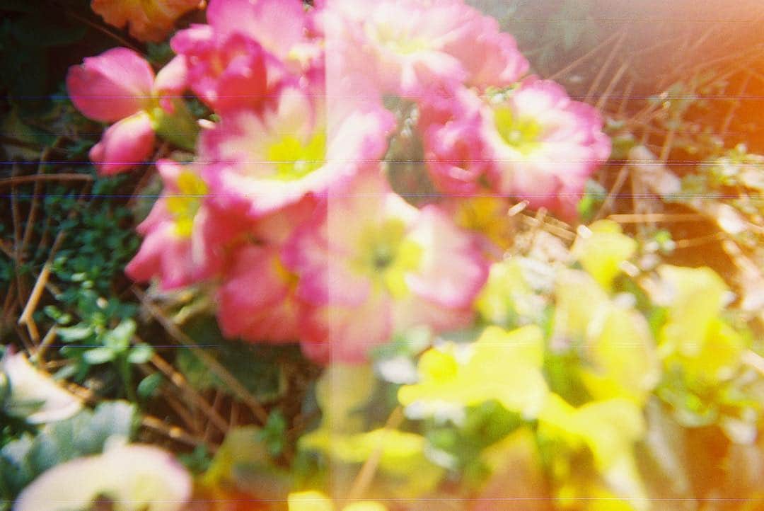 花盛友里のインスタグラム：「天気悪いなぁ。」