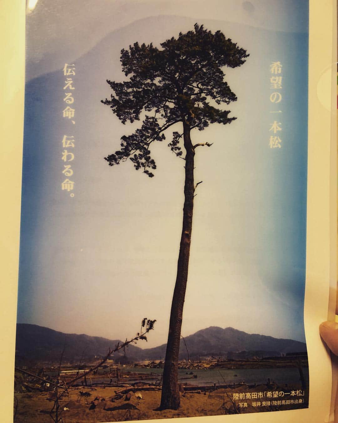 海老沼匡さんのインスタグラム写真 - (海老沼匡Instagram)「これは私のクリアファイルです。 東日本大震災から7年。私の妻は宮城県石巻市出身。私にとっても、私の妻にとっても、この日を忘れることはありません。今もまだ復興中。ますますの復興を願っています。 #3.11 #2:46 #東日本大震災 #奇跡の一本松 #強い #忘れず戦っていきます #当たり前なんてない」3月11日 18時08分 - masashi_ebinuma