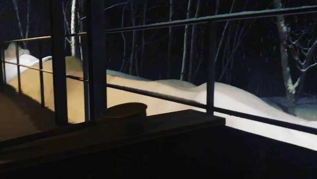 スイ・ヒーのインスタグラム：「Nature is a form of art. ❄️」