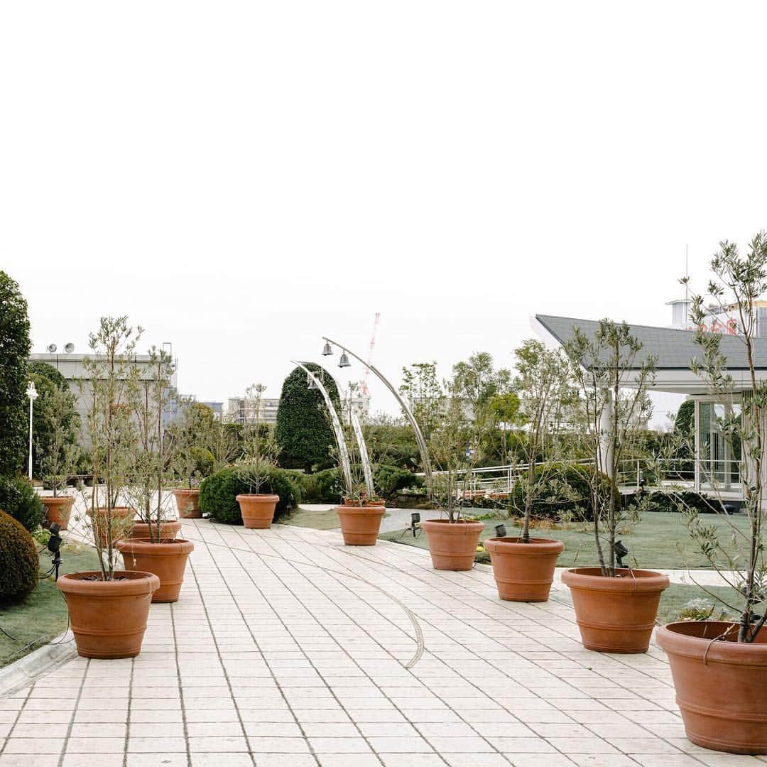 DOUのインスタグラム：「ㅤㅤㅤㅤㅤㅤㅤㅤㅤㅤㅤㅤㅤ 浦和の隠れた屋上庭園。 ㅤㅤㅤㅤㅤㅤㅤㅤㅤㅤㅤㅤㅤ #dou#namadorayaki#dorayaki #sweets#japanesesweets  #生どら焼き#生どら焼きミニ ㅤㅤㅤㅤㅤㅤㅤㅤㅤㅤㅤㅤㅤ」
