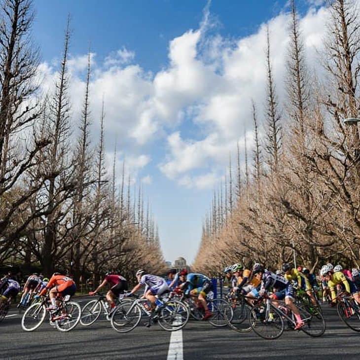 福田萌子さんのインスタグラム写真 - (福田萌子Instagram)「昨日は、全日本学生ロードレース・カップ・シリーズ最終戦の「第12回明治神宮外苑大学クリテリウム」の観戦に‼️ 屋久島100kmライドの時にサポートしてくれた鹿屋体育大学のみんなも出ていたよ✨ Red Bullでエナジーチャージをして応援にも一段と熱が入りました！ ・ 私と鹿屋体育大学自転車競技部のみんなは同じcannondale supersix evohimodに乗っているので更に親近感っ。 サイクリング日和のお天気を1日満喫しました。 ・ #cycling #cyclist #criterium #cannondale #redbull #クリテリウム #明治神宮外苑クリテリウム」3月12日 17時50分 - moekofukuda