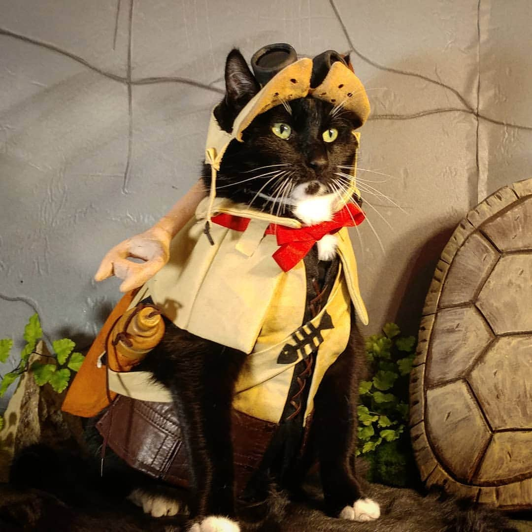 猫コスプレさんのインスタグラム写真 - (猫コスプレInstagram)「Debuting our Monster Hunter Palico companion cosplay!  #Monsterhunter #MonsterHunterWorld #Palico #Felyne #monsterhuntercosplay #Mhw #モンスターハンター #モンスターハンターワールド #Catcosplay #catcostume」3月12日 23時36分 - cat_cosplay