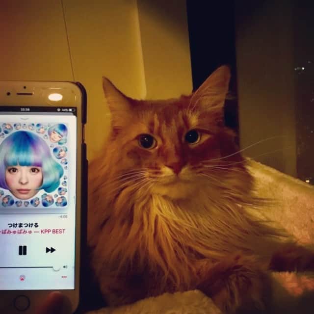 のインスタグラム：「勝地メルさん😽 つけまつけまつけまつける🎤」
