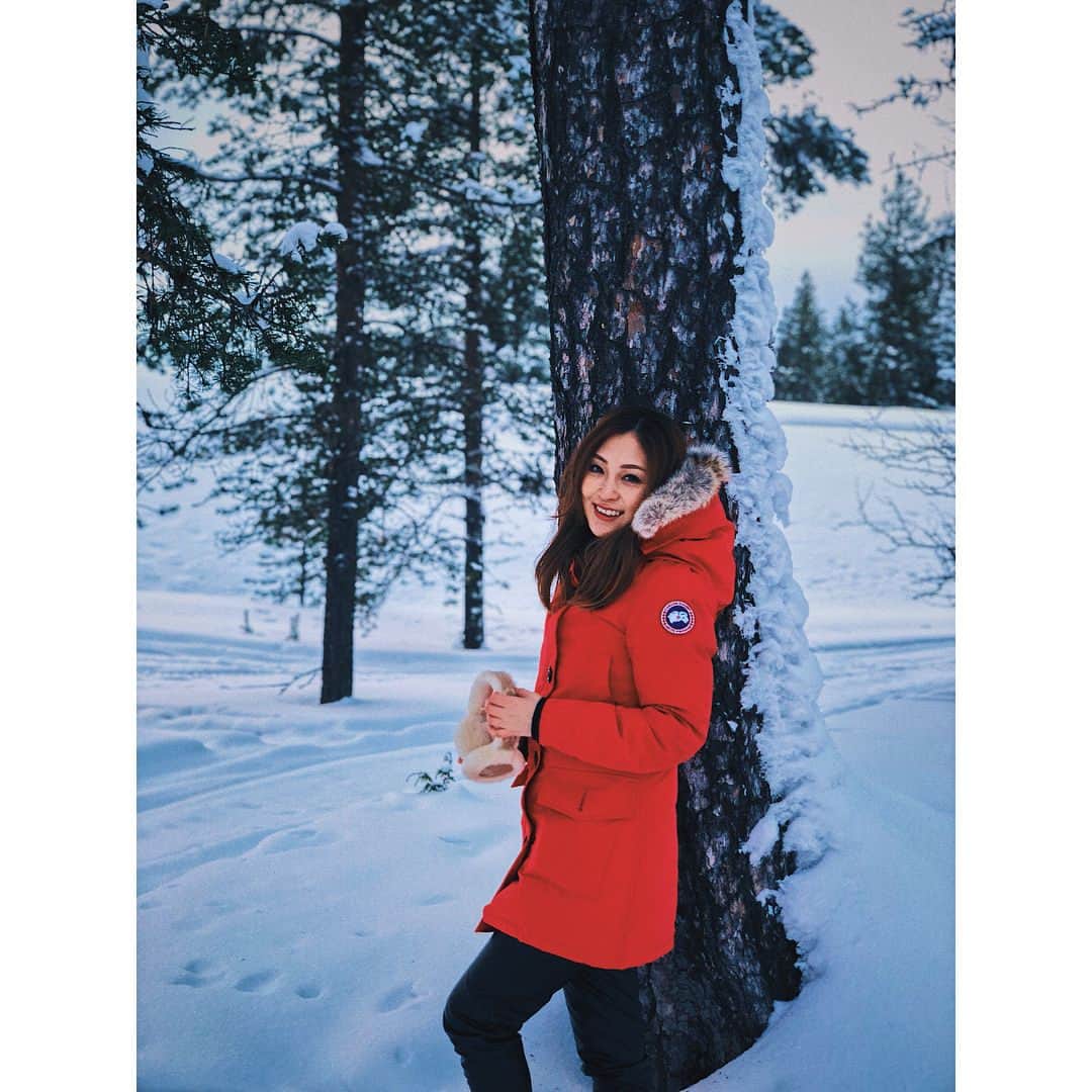 辰巳奈都子さんのインスタグラム写真 - (辰巳奈都子Instagram)「オーロラを見にサーリセルカ へ。 寒いよ 寒いよ サーリセルカ！変な名前でなかなか覚えられないよ〜笑  この北極圏の旅に備え、カナダグースを新調✨ はぐれても見つけやすい、鮮やかな赤にしてみました ・ ・ 💎❄️☃️💎🦋❄️ #saariselkä  #scandinavia  #aurora  #finland  #travel  #canadagoose #bronte #red #snow #snowing ❄️☃️💎🦋❄️」3月13日 21時34分 - tatsumi_natsuko