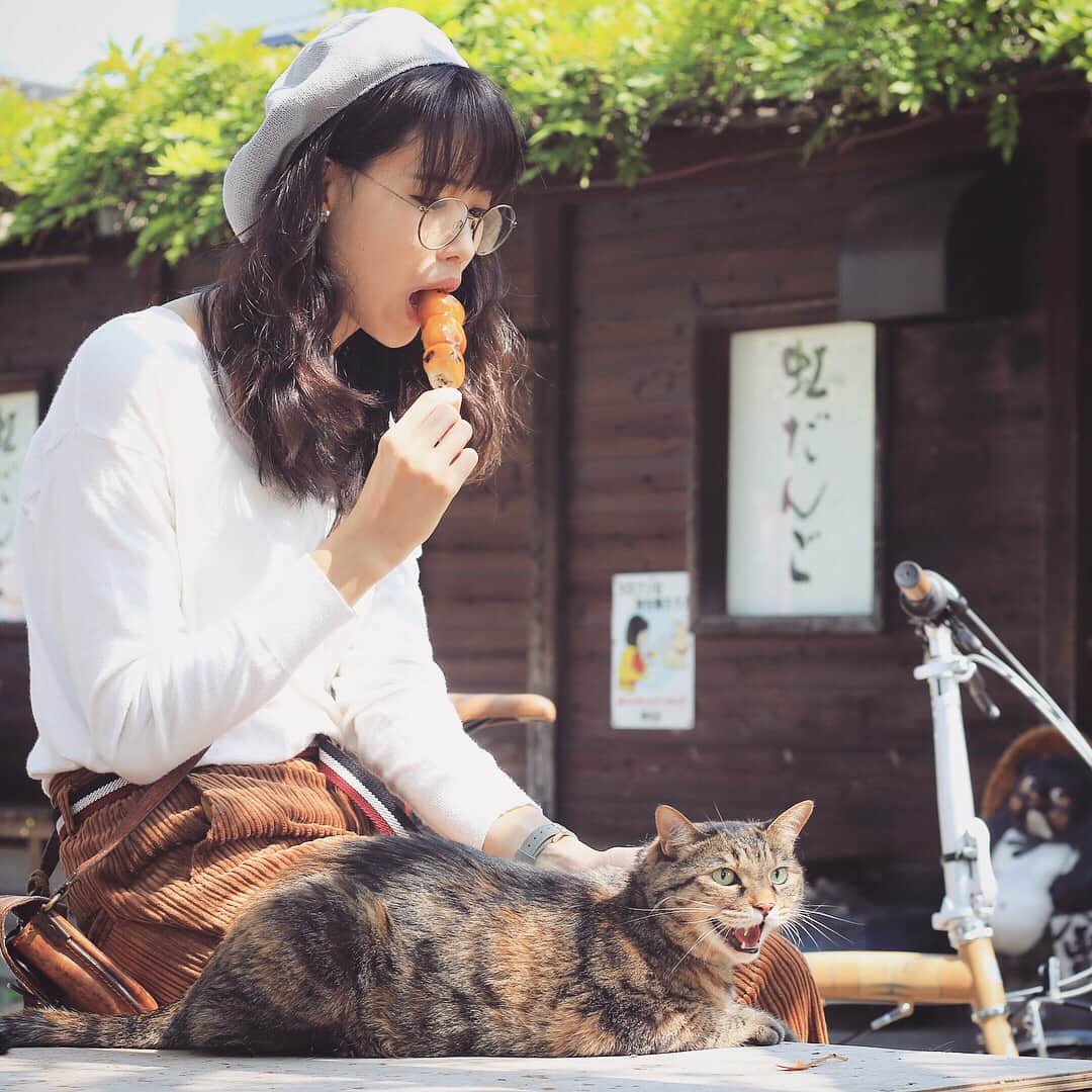 NESTOさんのインスタグラム写真 - (NESTOInstagram)「猫をモチーフにした折りたたみ自転車Kockaのロケ地は、埼玉県越谷市の大相模不動尊大聖寺境内にあるお団子屋さん「虹だんご @nijidango 」さんです。サイクリング中に立ち寄ることも多く、NESTOのスタッフみんなが好きなお団子です。 時には看板猫の #キキ と #ジジ が出迎えてくれることも…！猫好きにはたまらないお店です。 __ #NESTObikes #Kocka #コチカ #折りたたみ自転車 #ミニベロ #minivelo #猫 #ねこ #ねこ部 #にゃんこ #にゃんすたぐらむ #にゃんだふるらいふ #キジトラ #kitty #catstagram #自転車 #自転車のある風景 #猫のいる暮らし #instafashion #メガネ女子 #ベレー帽  #丸メガネ #ootd #越谷 #みたらし団子 #越谷サイコー #コチカフェ #nekotobikes」3月13日 17時59分 - nestobikes