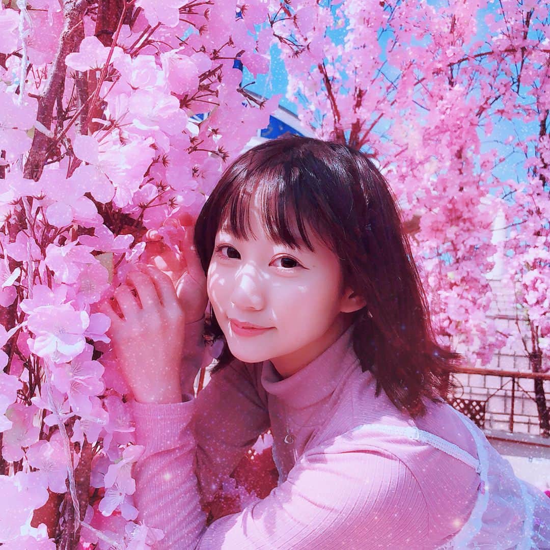 篠宮ゆりさんのインスタグラム写真 - (篠宮ゆりInstagram)「#初投稿 です！ 今日は #オフ会 でした✨  春をかんじた〜🌸 ㅤㅤㅤㅤㅤㅤㅤ  #八景島シーパラダイス  #誕生日 #水族館 #イルカ #くらげ  #桜」3月13日 19時38分 - shinomiya_yuri_x