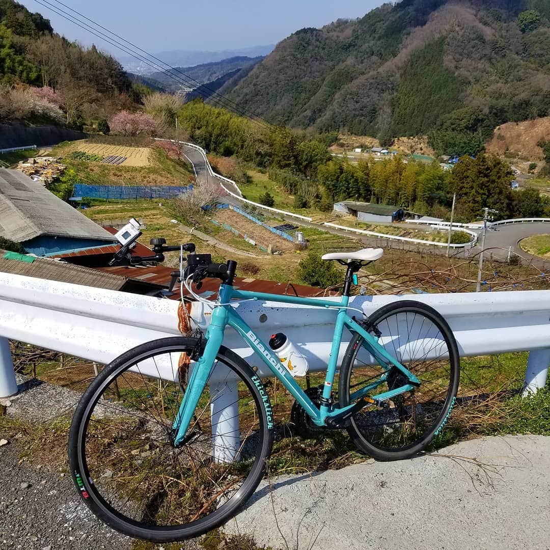 のインスタグラム：「自転車へんろ旅は今日も続きます🎵 #四国#愛媛#自転車#サイクリスト#お遍路 #自転車へんろ旅#ビアンキ#ひめポン#前園真聖」
