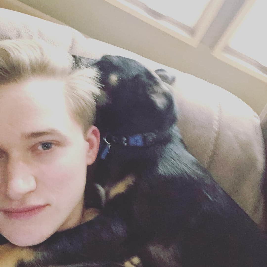 マイケル・ブラマンテのインスタグラム：「He sleeps funny #dogsofinstagram #dog #dogs #puppy #pup #pups #puppies #haitistreetdogproject」