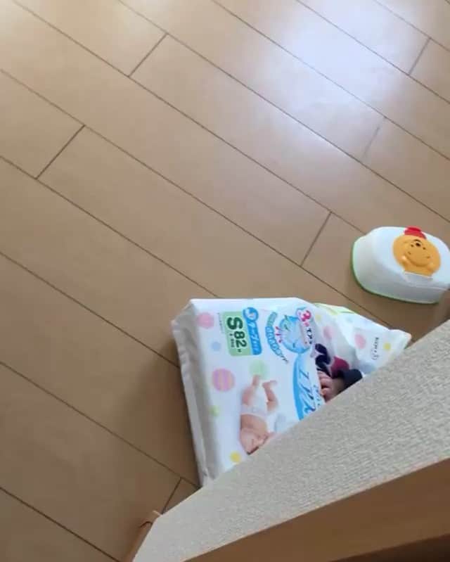 宮坂桃子のインスタグラム：「ちょっと目を離すとすぐイタズラしてる👀自由に動けるようになって楽しくて仕方ないらしい✨私も見てて楽しい✨ #5ヶ月 #メリーズ #メリーズといっしょ」