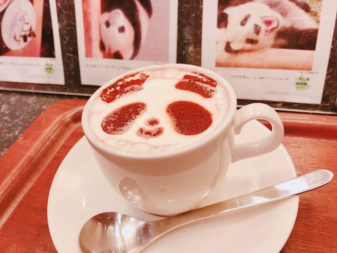 堀みづきさんのインスタグラム写真 - (堀みづきInstagram)「パンダココアでほっと一息🐼☕︎ 癒されました♡ #パンダ #パンダココア #シャンシャン #パンダスタグラム #香香 #上野 #ecute ##みづきのパンダ巡り」3月14日 11時11分 - mizuki_027