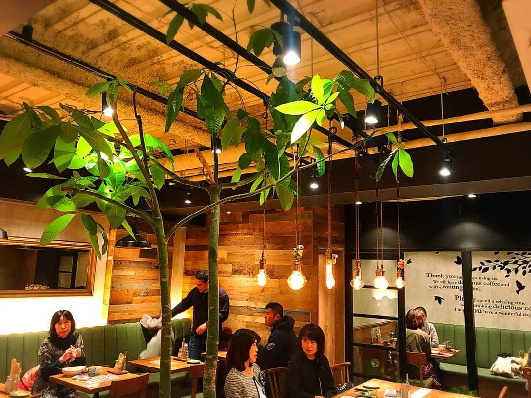 FOOD TREND GALLERYのインスタグラム：「. FOOD TREND GALLERY . ☆T-GREEN’S｜南森町 新世界☆ . 天神橋筋商店街の中の一際目をひく建物の中にあるCAFE😋🍽 . お茶を使ったメニューが豊富で、京都に行かなくともお茶を楽しめるお店です🍵 . 緑の癒し空間とお茶のスイーツや飲み物をご堪能してみてほしい、おすすめのお店です。 . #foodtrendgallery をタグ付け投稿して頂いた方の お写真が投稿されるかも。 . #foodtrendgallery #tgreens #カフェ #cafe #大阪 #大阪市 #南森町 #新世界 #人気店 #名店 #器 #仕込み #感動 #food #trend #foodstagram #foodie  #sweets #photography  #食べ物 #流行り #流行 #人気  #スイーツ #フォトジェニックフード  #インスタ映え #料理 #素材#本質」