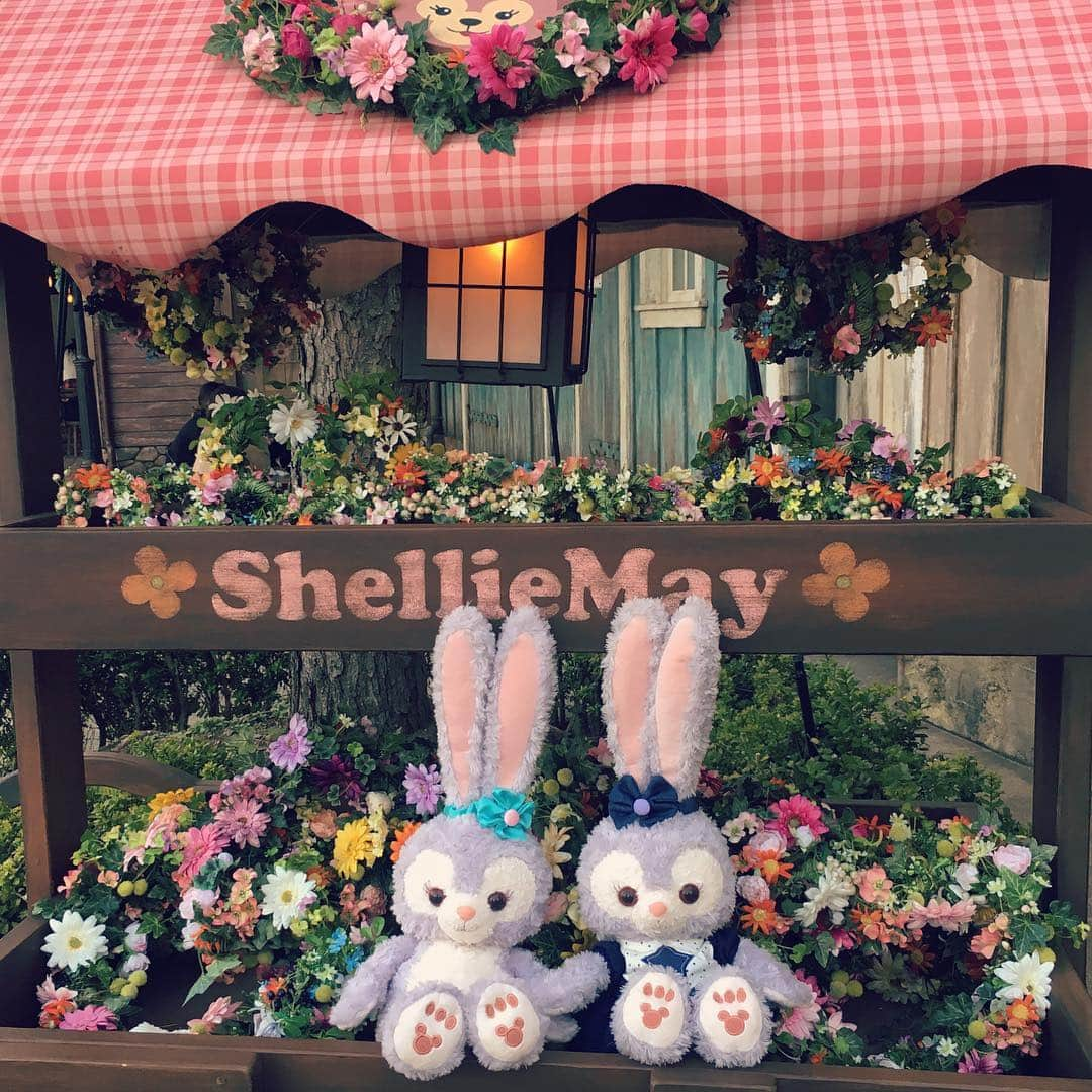 青木りえさんのインスタグラム写真 - (青木りえInstagram)「🐰 🐰 🐰 昨日はカナと💖 #ディズニーシー に行ったよ✨ #ステラルー を里帰りさせてきたよ🐰 #可愛かった 😊💓 #お花に囲まれて 🌸 #可愛い二人組 😍😍 #Disne💓 #disneysea 💓 #🐰」3月14日 18時26分 - aokirie0418