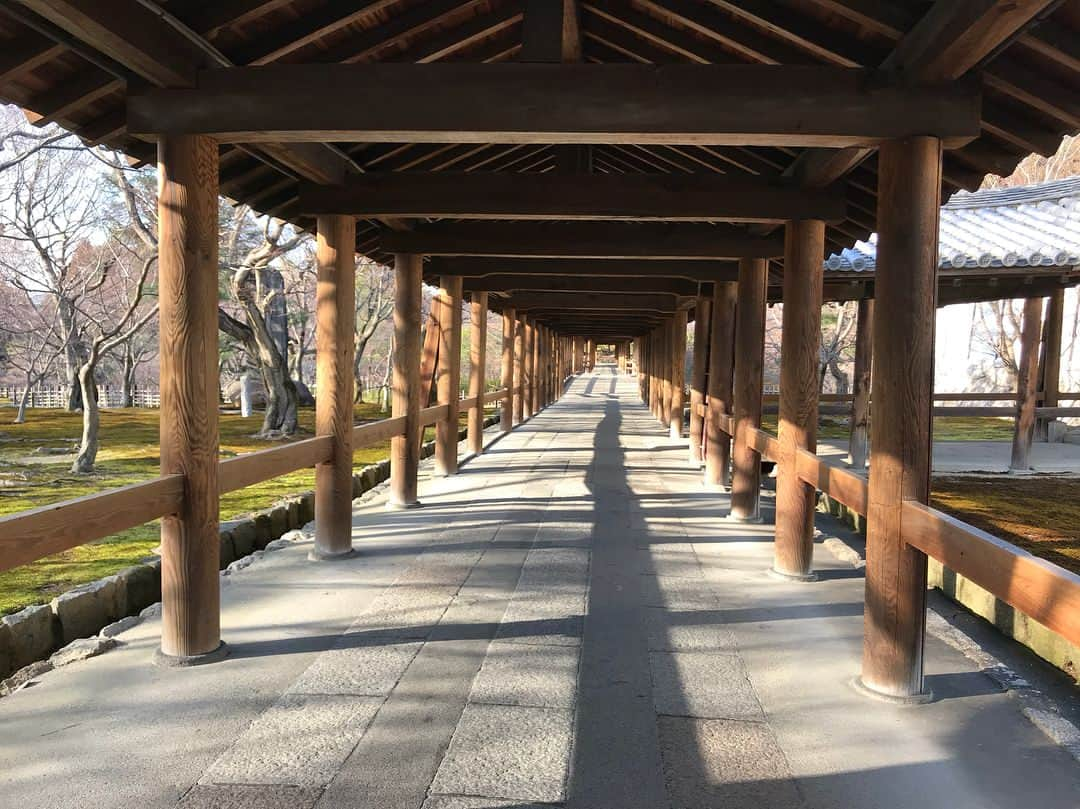 PINKYさんのインスタグラム写真 - (PINKYInstagram)「Kyoto⛩🌸✨ . 主人がお世話になっている方々に、とびっきりの京都ツアーに連れて行っていただきました😊🙏⛩🌸✨ .  南禅寺と東福寺を巡り、住職さんに説明をしていただきながらお寺の歴史を学び、美しい風景を堪能させていただき、国宝を特別に見学させていただいたり、本当に素晴らしい体験をさせていただきました✨🙏✨ . 京都グルメも堪能させていただいて、もう最高🤤💖🥢 . 大感謝です✨🙏✨ ・・・ #love #happy #family #感謝 #京都 #南禅寺 #東福寺 #赤垣屋  #baby #babygirl #Amatobaby #momlife #hubbywifey #parentslife #生後8ヶ月」3月14日 20時14分 - shanti_pinky_shanti