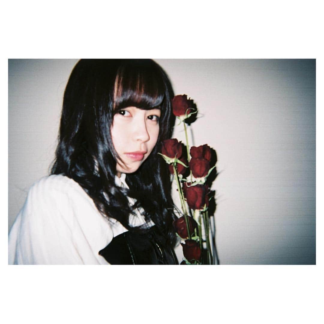 宇井真白さんのインスタグラム写真 - (宇井真白Instagram)「🥀 生誕祭のフラワースタンドの薔薇を ドライフラワーにしてみたよ。 大切。大好きだよ。みんな。 #写ルンです」3月14日 21時30分 - ui_mashiro