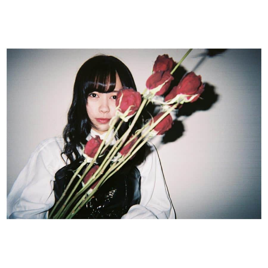 宇井真白のインスタグラム：「ばら バラ 薔薇 🥀」