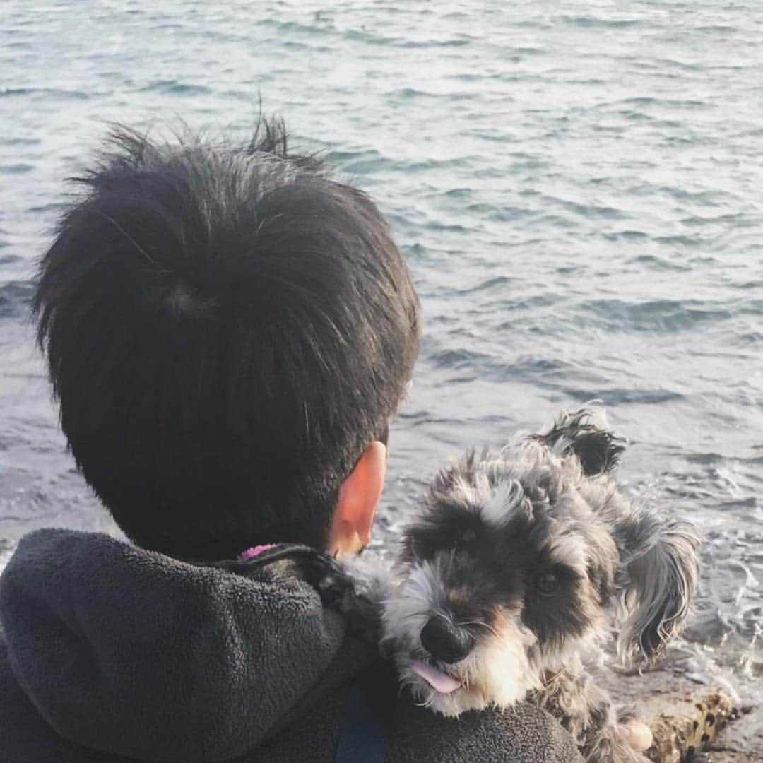 北川けんいちさんのインスタグラム写真 - (北川けんいちInstagram)「明日で4歳の犬と37歳の人。もう4歳か…何食べたい？君の好きなサツマイモのケーキでええか？じ、実は嫌いとかないよね？？ね？  #ミニチュアシュナウザー  #miniatureschnauzer  #松江海岸」3月15日 20時27分 - kenichi_kitagawa