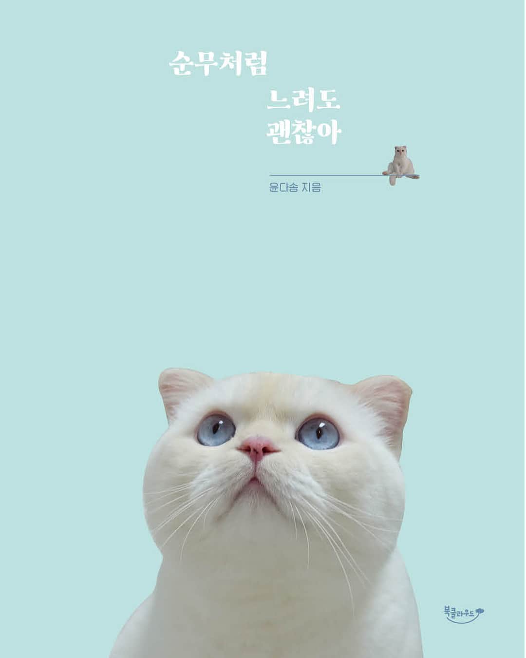 SoonMooさんのインスタグラム写真 - (SoonMooInstagram)「순무 순무 에세이🐱 표지 가시안인데(윗부분 글씨가 잘렸지만ㅠㅠ) 순무가 어떤 사진이 표지가 되는게 더 좋으신지 투표합니다🙊 무엇보다 순무를 매일 애정으로 지켜봐주시고 잘 아시는 분들의 의견을 들어보고 싶어서요! 제발 골라주세요...💕 일정상 길게는 못하고 4시쯤 마감해요😭 (그리고 일정상 다른 사진 추천은 받지를 못합니다...흑흑 두개 중에서만 골라주세요!) 1. 위를 올려다 보는 사진 2. 정면을 보는 사진 아 참, 그리고 21일~28일까지 예약판매를 시작하게 되는데, 예판 특전으로 순무 굿즈를 주신다는 소식이🙉 이 공지는 나중에 다시 올릴게요~ #순무 #SoonMoo」3月15日 13時42分 - soonmoo_cat